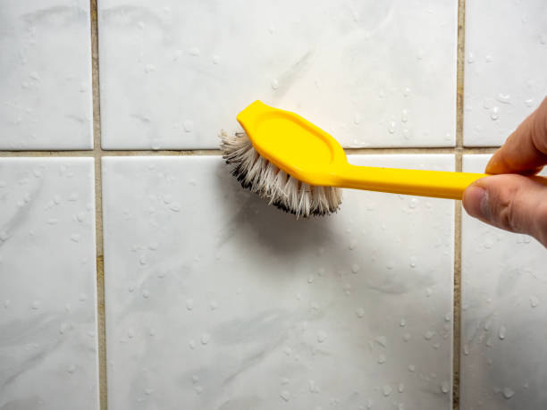Best Emergency Mold Removal  in Fairmount, NY