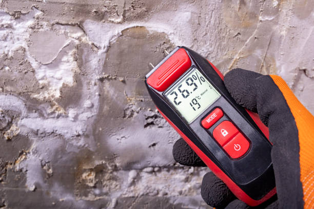 Best Mold Cleaning Services  in Fairmount, NY
