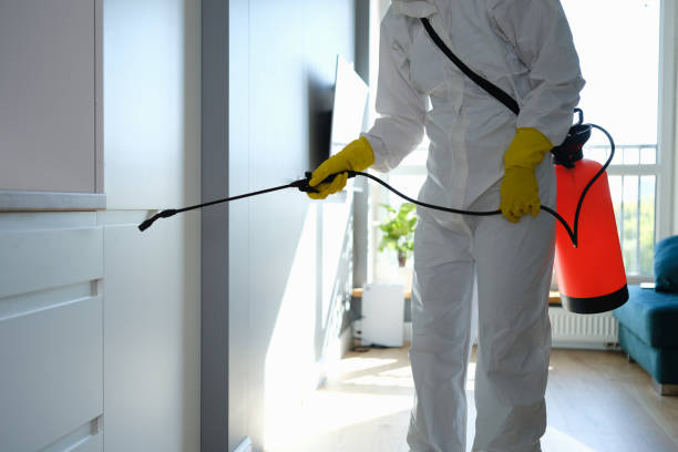 Best Fast Mold Removal  in Fairmount, NY