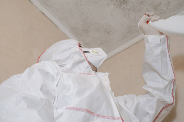 Best Residential Mold Removal  in Fairmount, NY